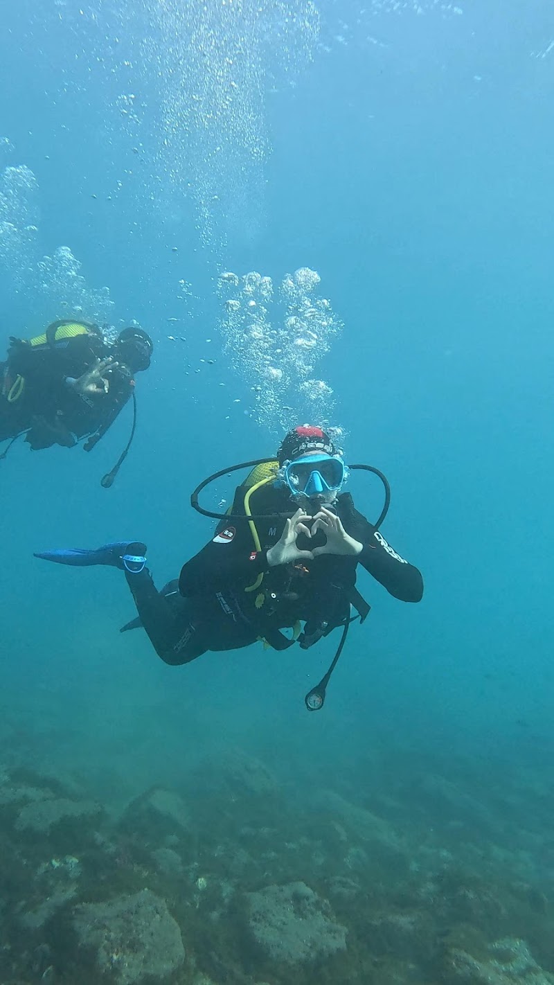 Centro de Buceo y Viajes MolaMola Dive logo