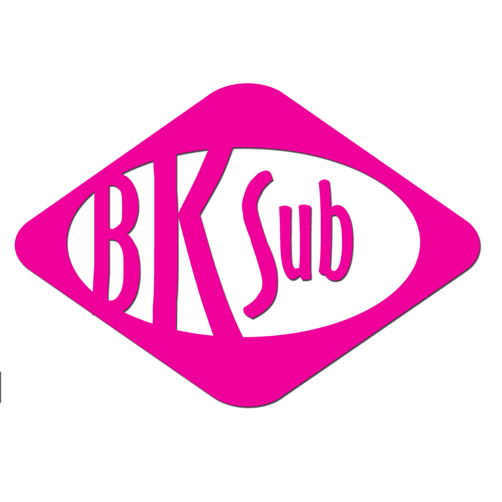 Balkysub Dive Operations | Diving School logo