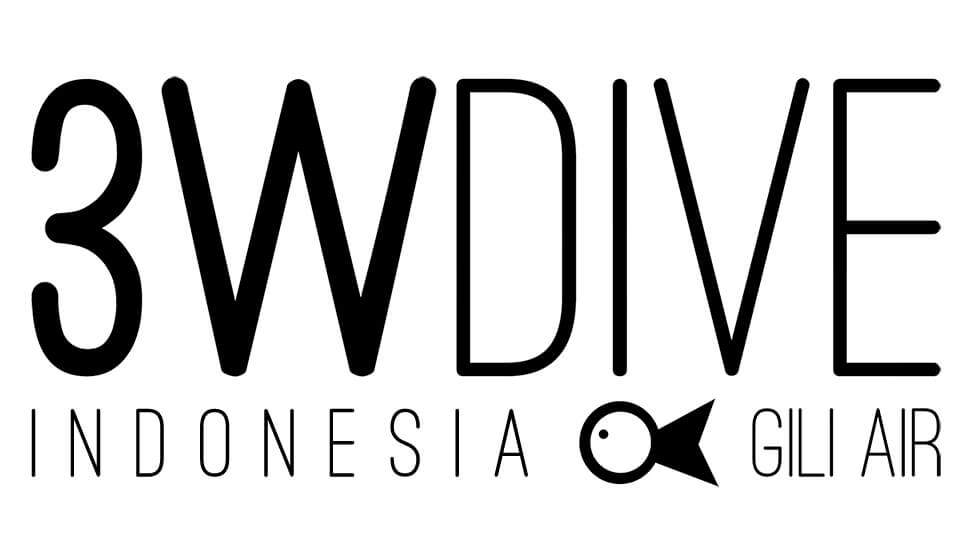 3W Dive logo