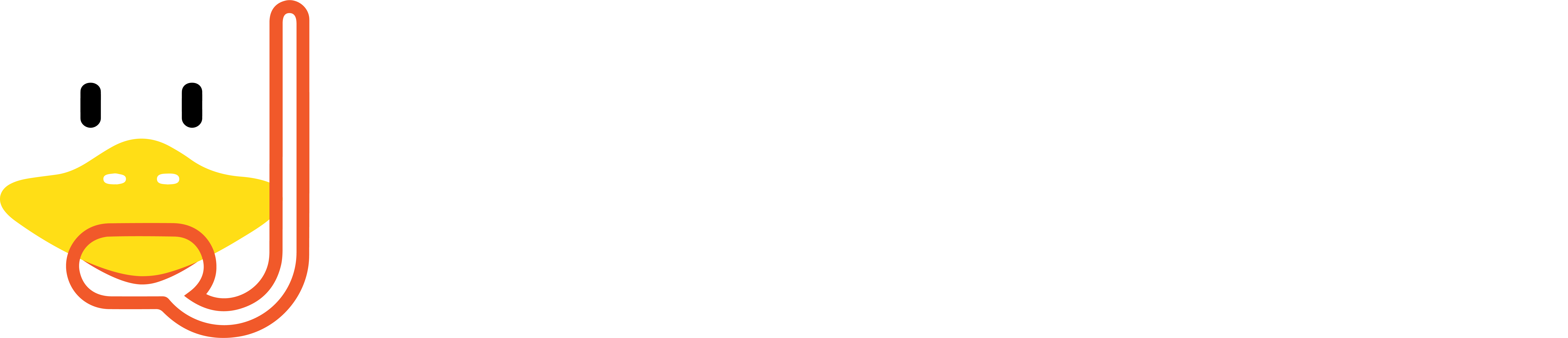 Duck n Dive Koh Tao logo