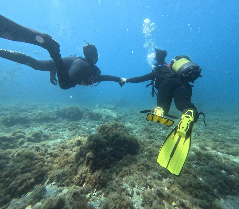 Buceo España La Herradura