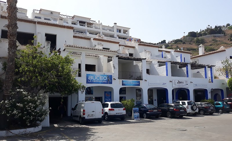 Diving La Herradura logo