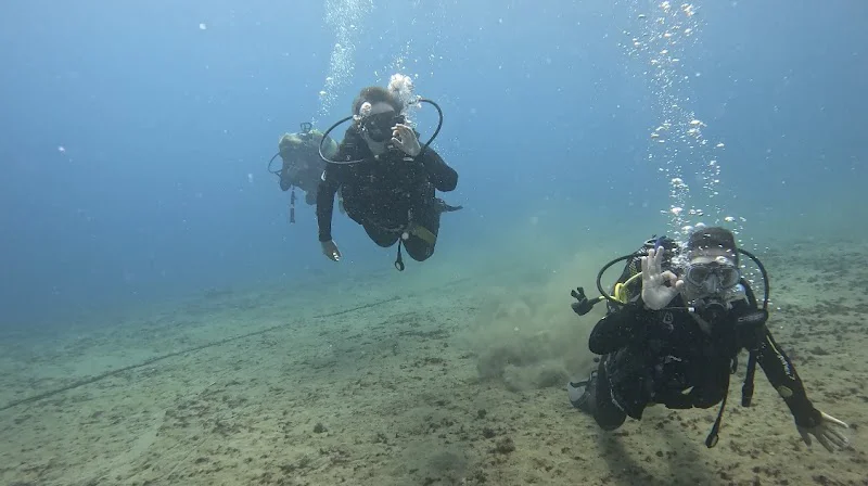 Lanzarote Buceo logo