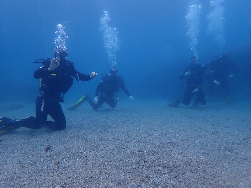 ViveBuceo - Escuela de buceo en La Herradura logo