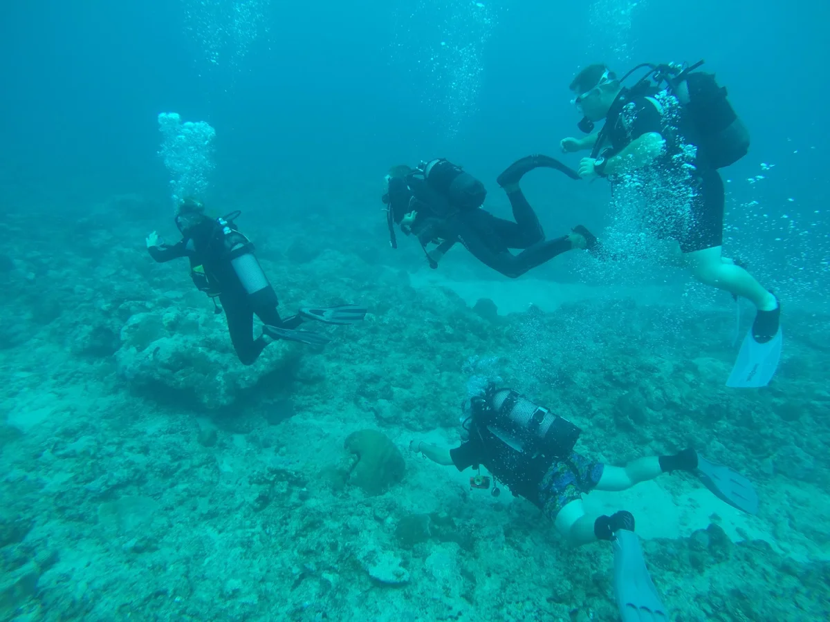 Centre de Plongée Île Maurice - Dive Passion Mauritius