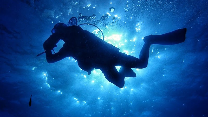 Centro de buceo DELTA Buceo logo