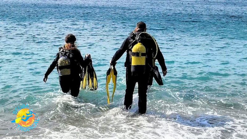 Centro de Buceo Scuba Tropical logo
