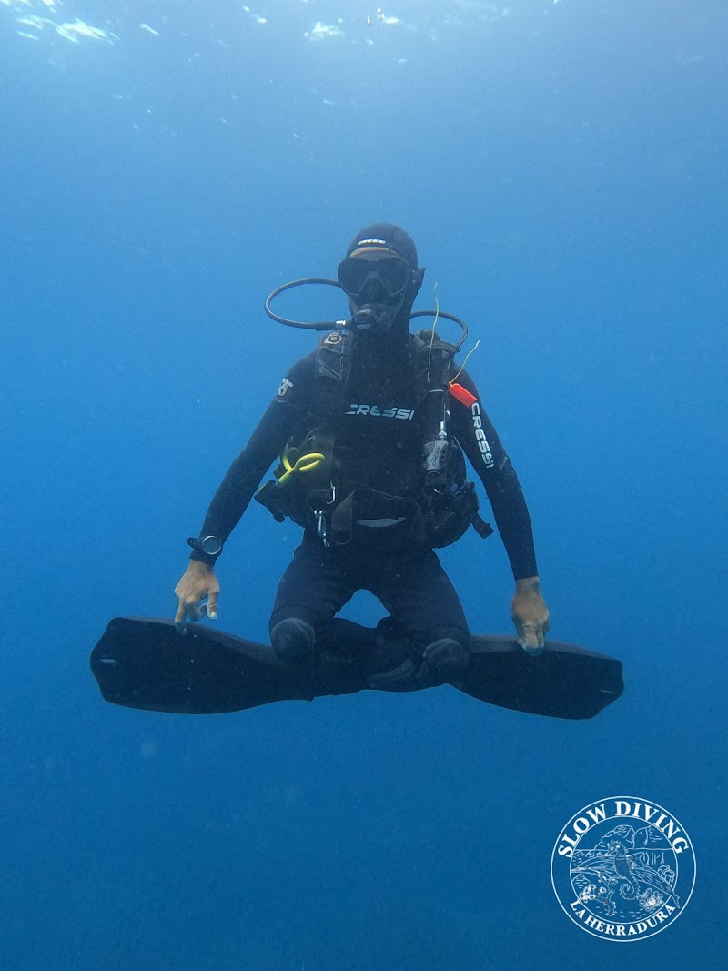 Slow Diving La Herradura