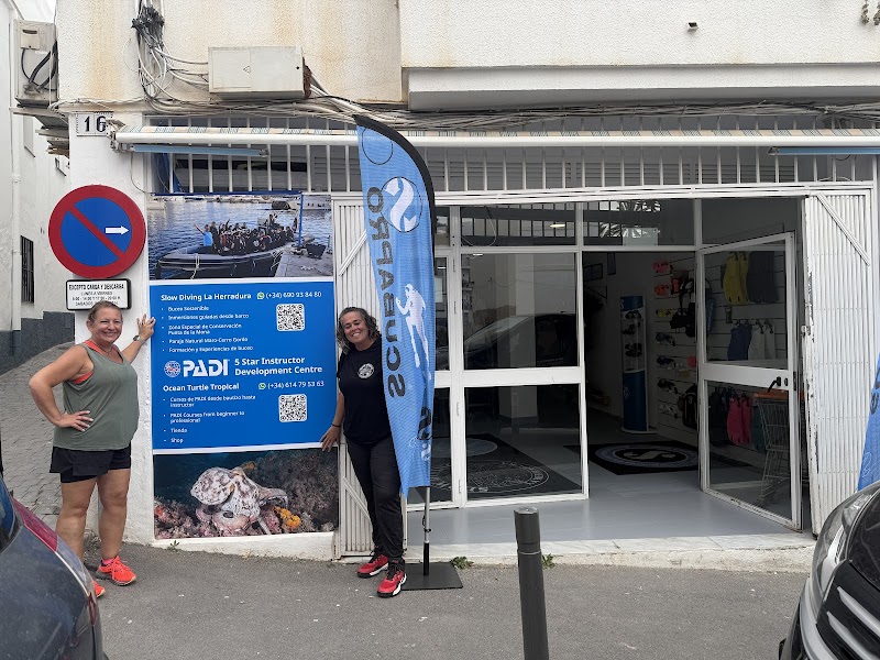 Ocean Turtle Tropical logo