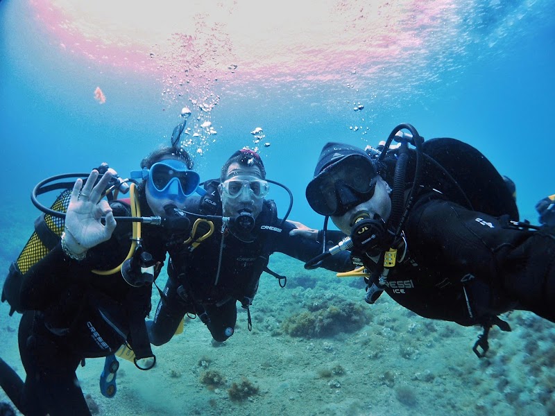 Diving Center Hesperides logo