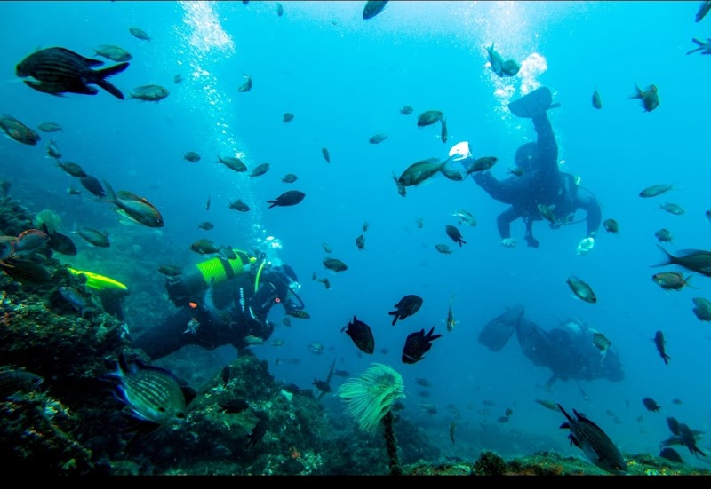Servicio de Buceo - Aneas Dive