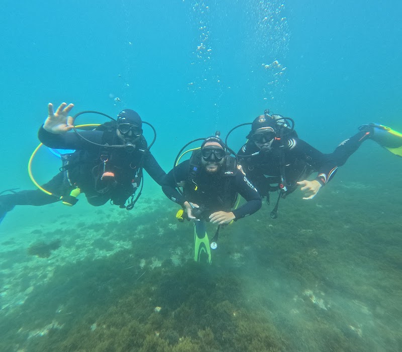 Servicio de Buceo - Aneas Dive logo