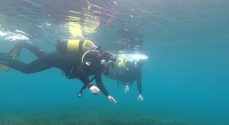 The Blue Jump Ecodiving diving center