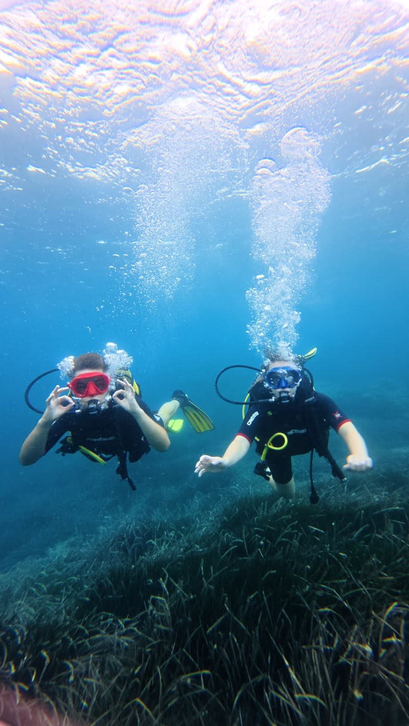 Pagaza Diving, Centro de Buceo PADI 5 ⭐⭐⭐⭐⭐ logo