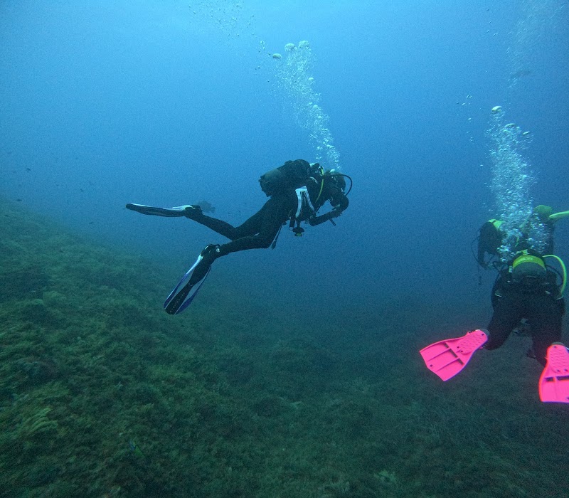 Diving Center Naranjito logo