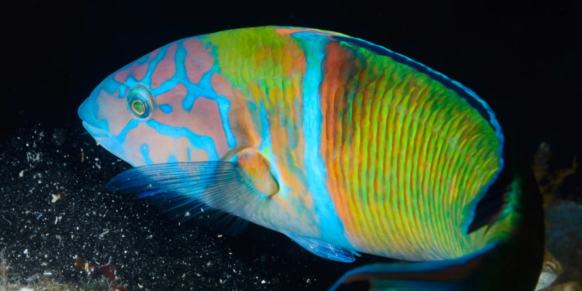 Foto 12