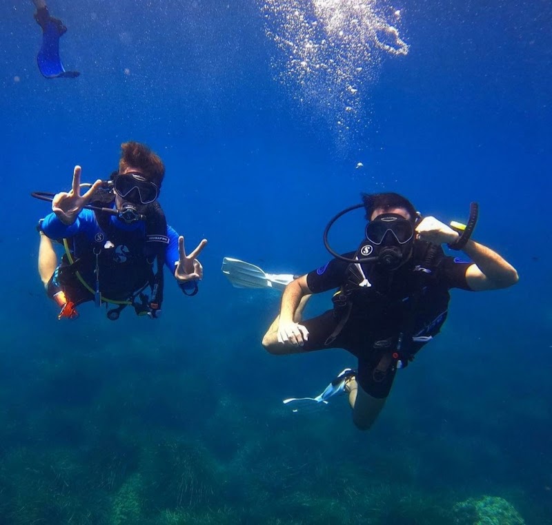 Albadive - Diving & experiences