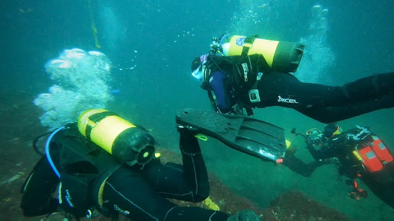 Orca Dive Club