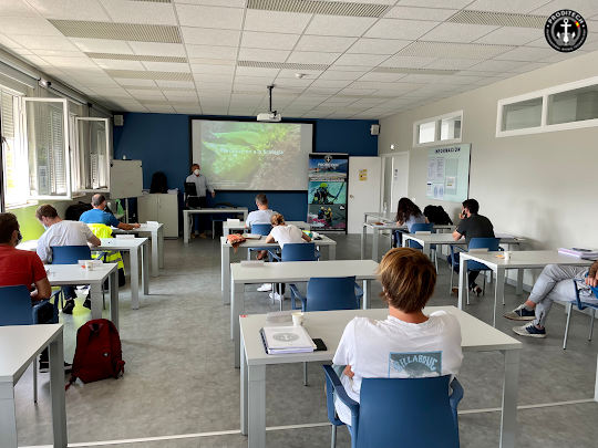 Proditech - Escuela de buceo profesional, técnico y rescate.OFFICIAL PARTNER SSI XR / TXR Technical Extended Range Center. logo