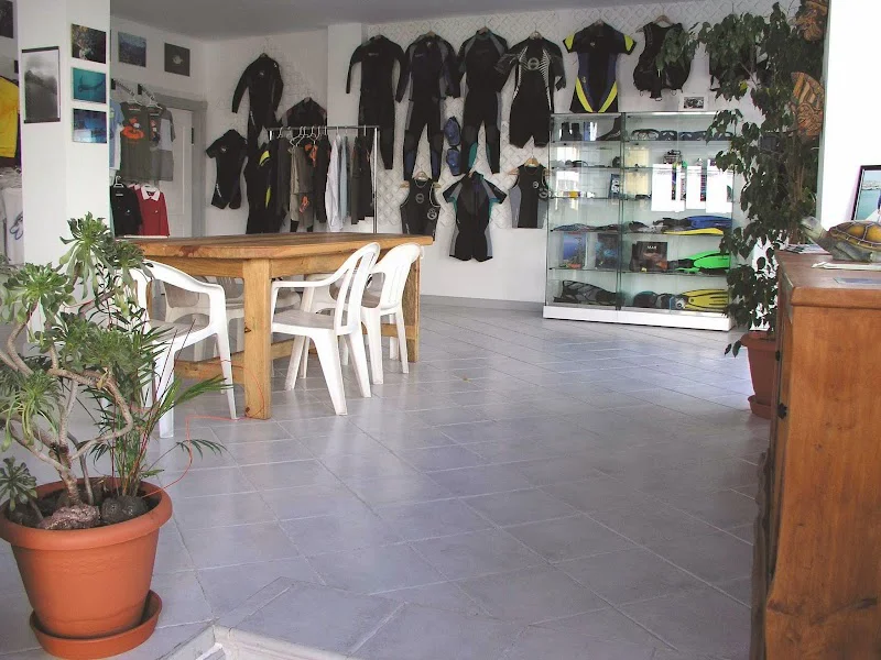 Foto 4
