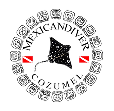 Mexican Diver Cozumel logo