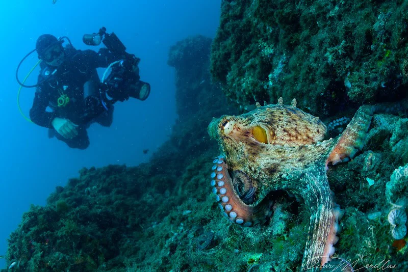 Centro de Buceo Scuba Tropical