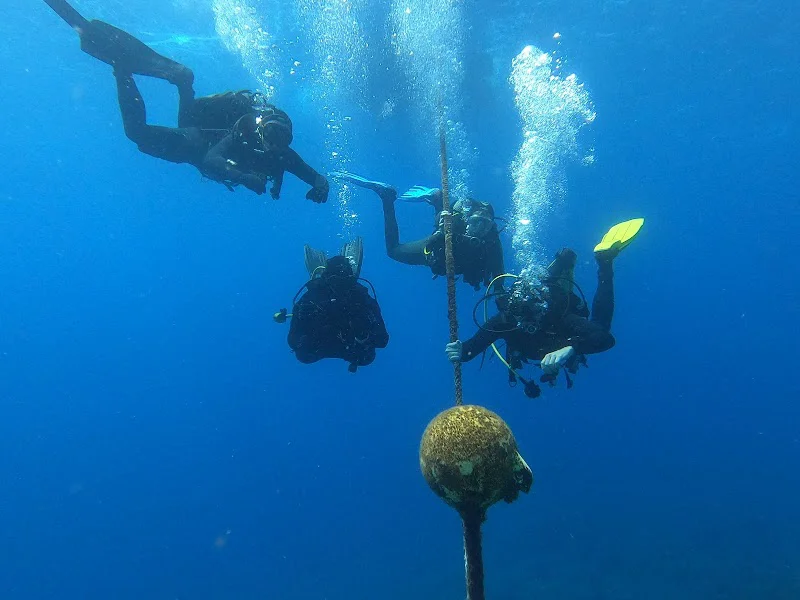TAGORO DIVE | Centro de buceo 5* El Hierro