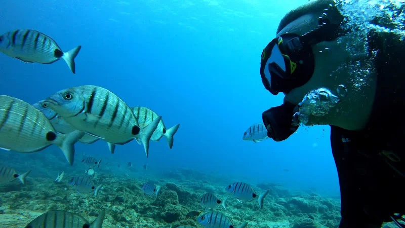 Atlantis Diving Lanzarote