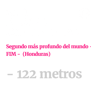 MIGUEL LOZANO GRANDE