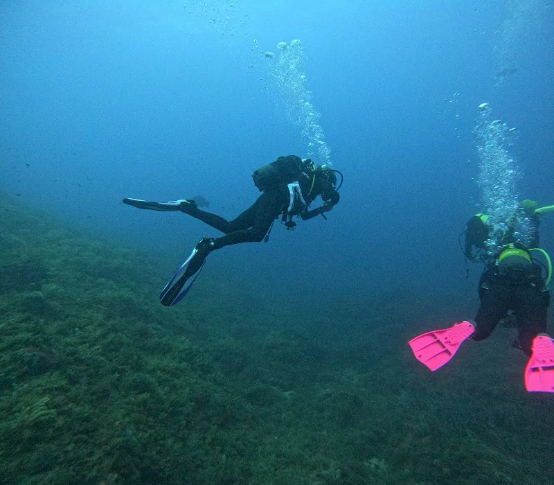 Diving Center Naranjito logo