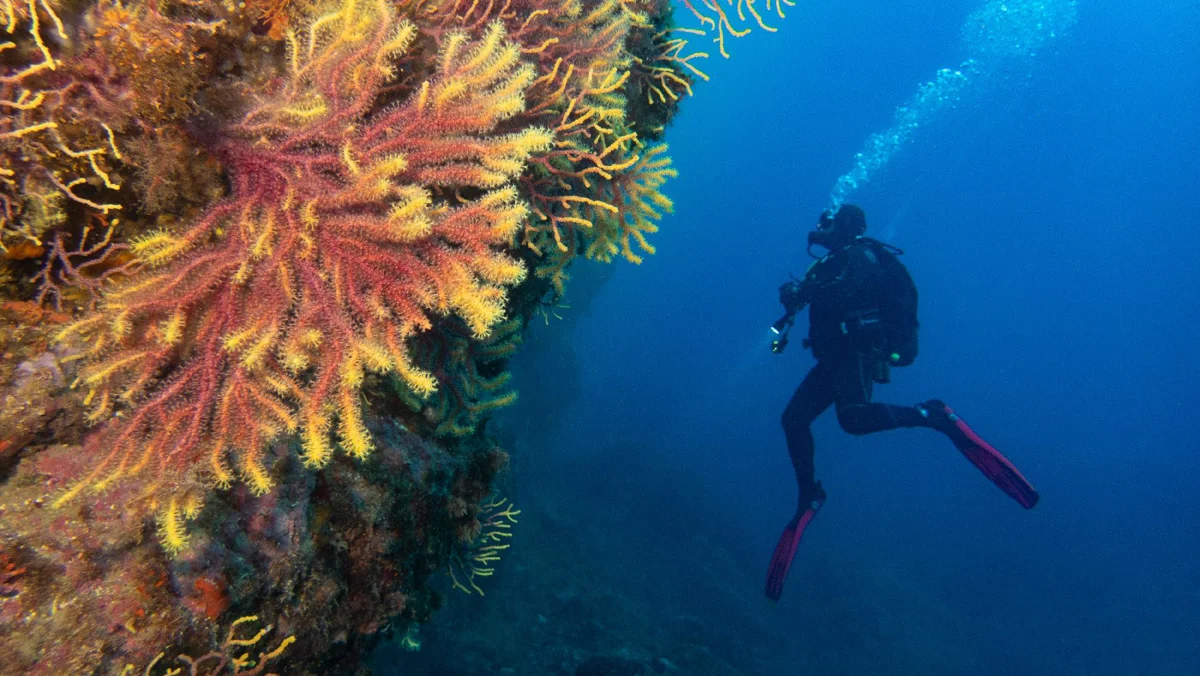 Costa Brava Divers