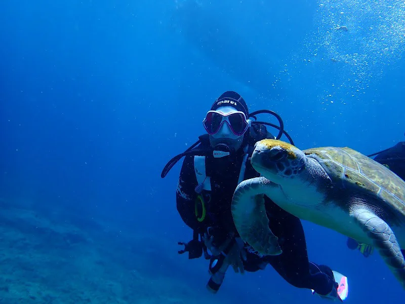 Blue Bottom Diving