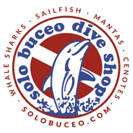 Solo Buceo logo