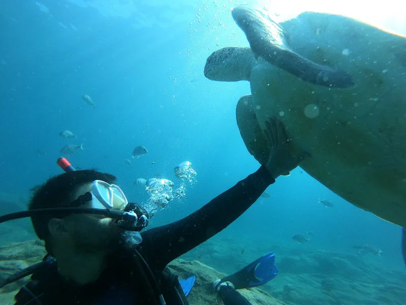 PADI 5* Travel Sub Dive Center Tenerife