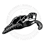 Black Turtle Dive logo