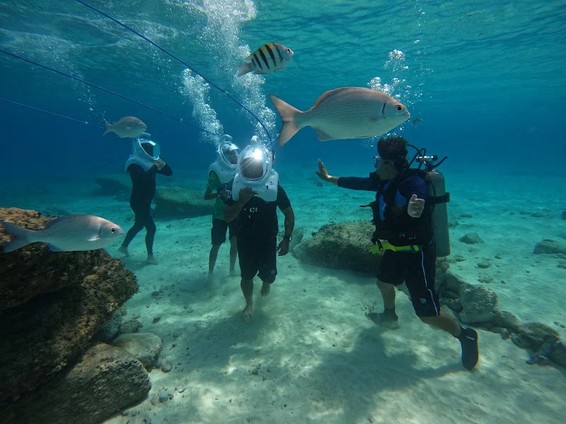 Diving on the Moon Tenerife - Sea Trek
