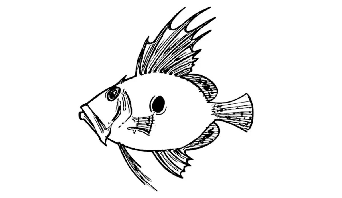 Adventure Divers logo