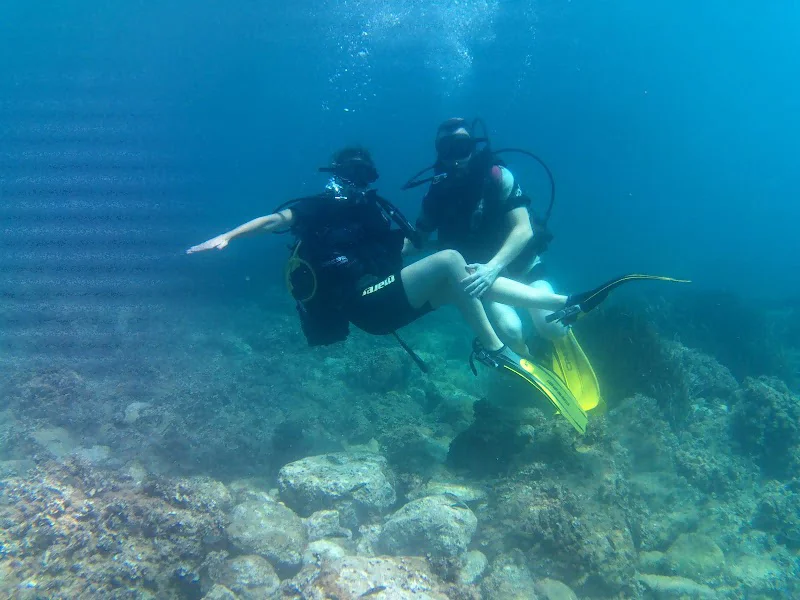 Buceo Pelicar logo