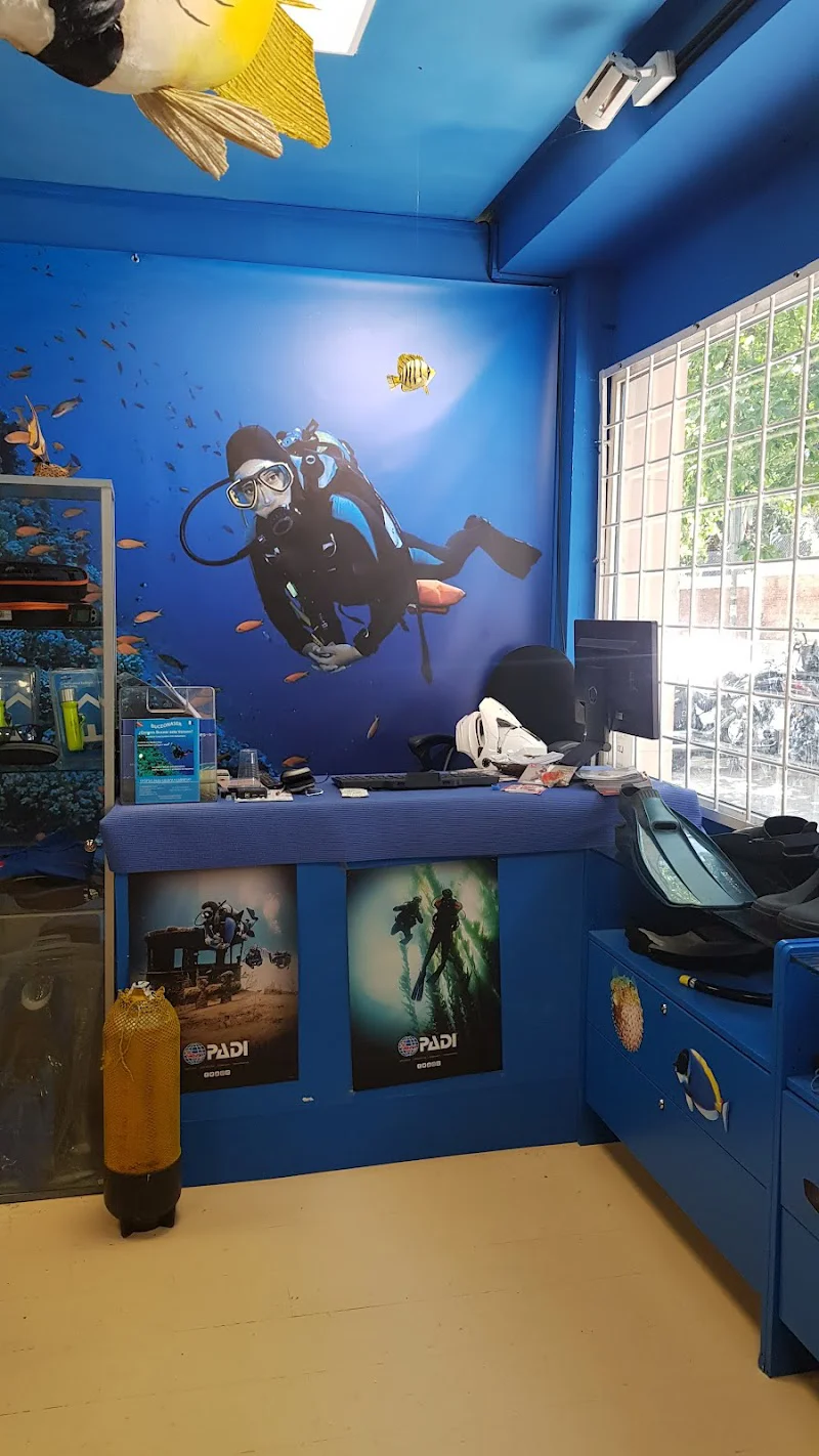Foto 2