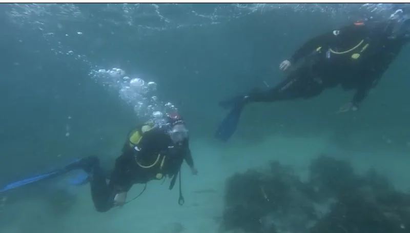 Vigo Buceo logo