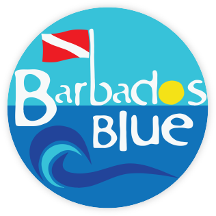Barbados Blue Water Sports logo
