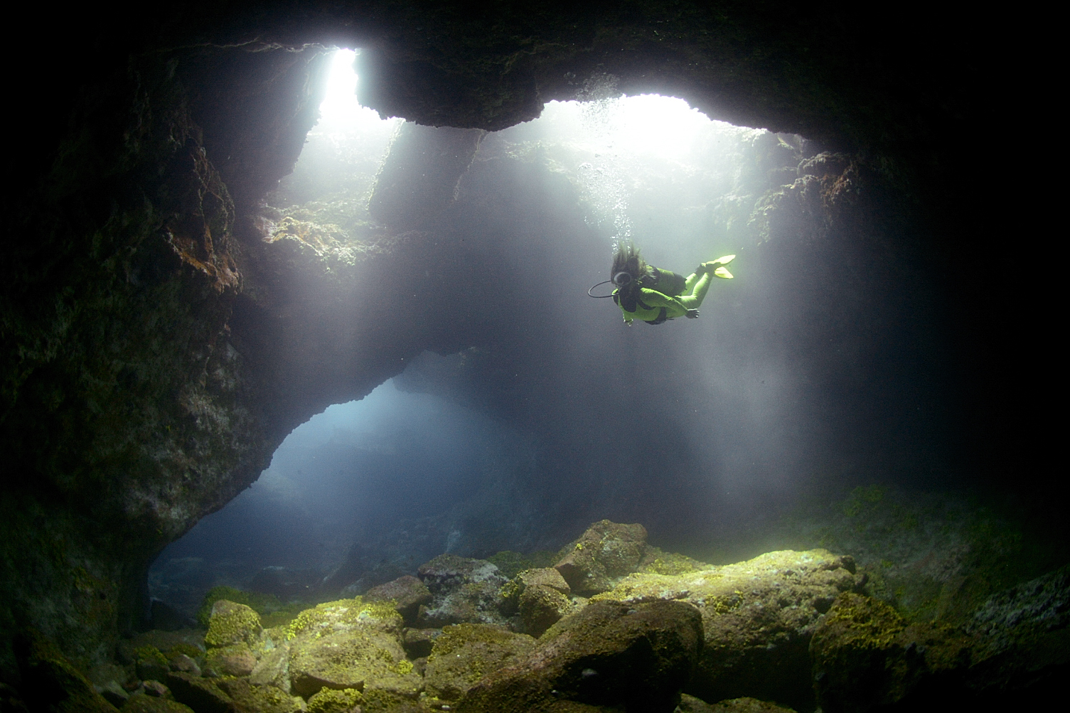 BUCEO CANARIAS BY MEDUSA