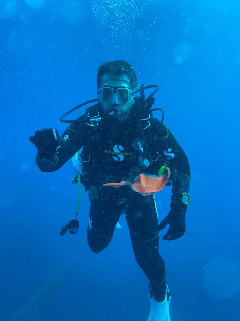 Posidonia Dive
