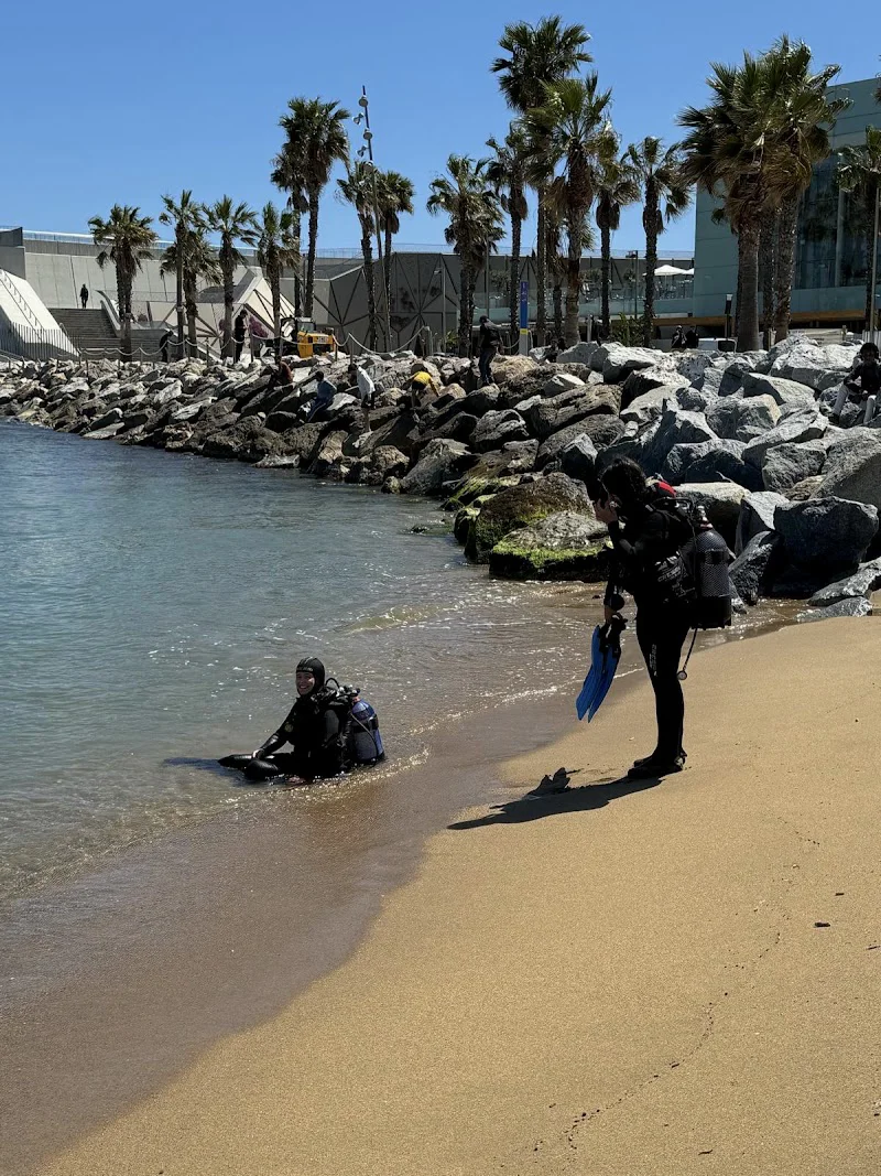 Underwater Barcelona