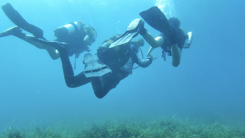 Planeta Azul Buceo y Naturaleza
