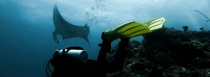 BUCEO AQUALIA