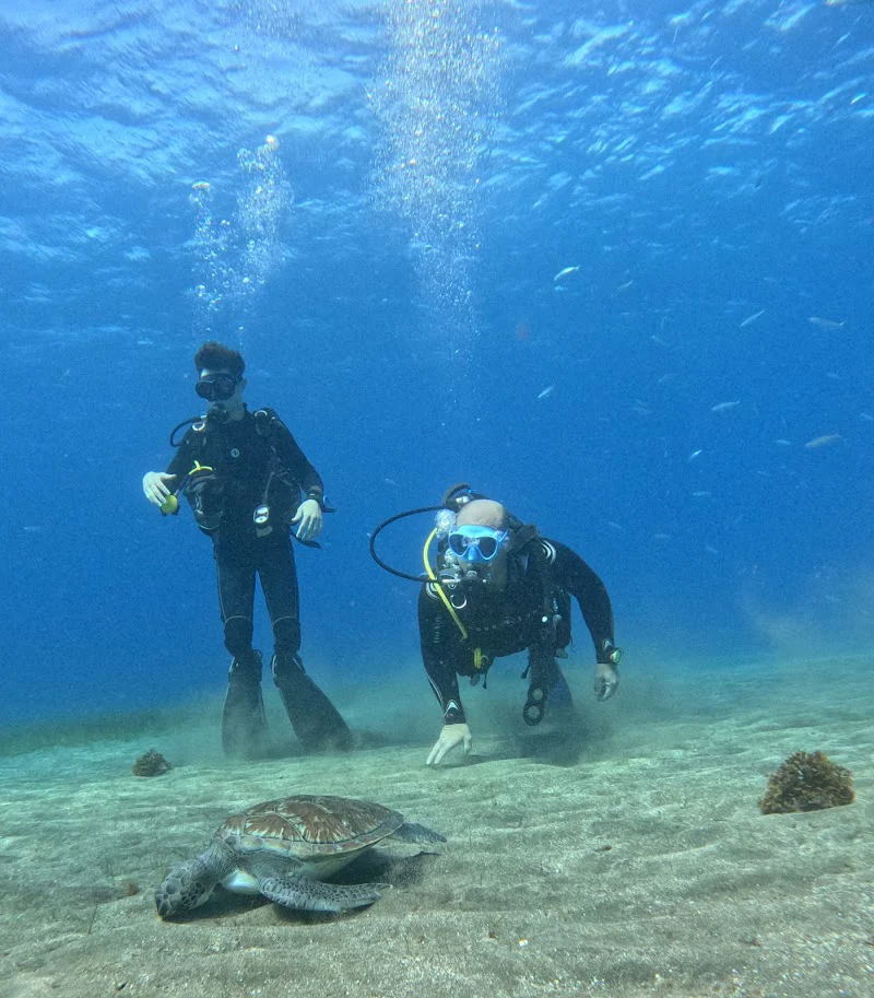 One Two Dive Tenerife