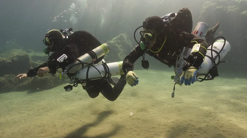 Formar Buceo logo