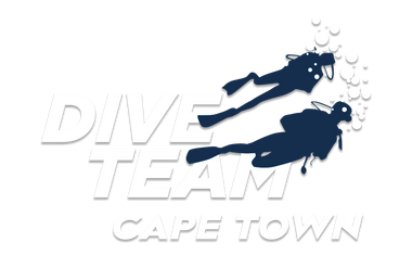 Dive Team logo