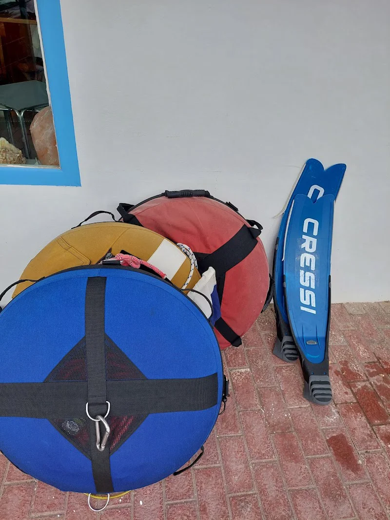 Foto 4